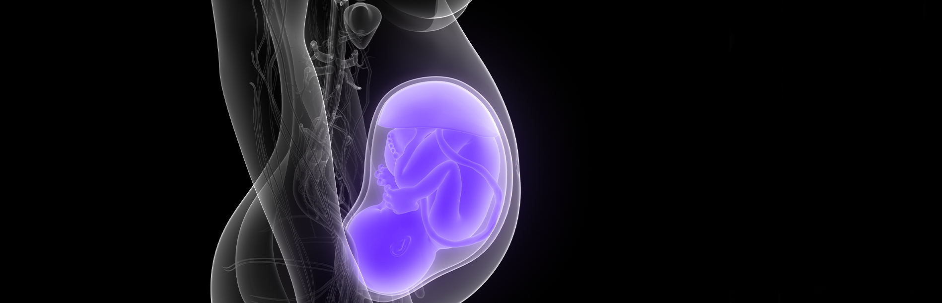 Etapas do desenvolvimento fetal: Quais são? Descubra.